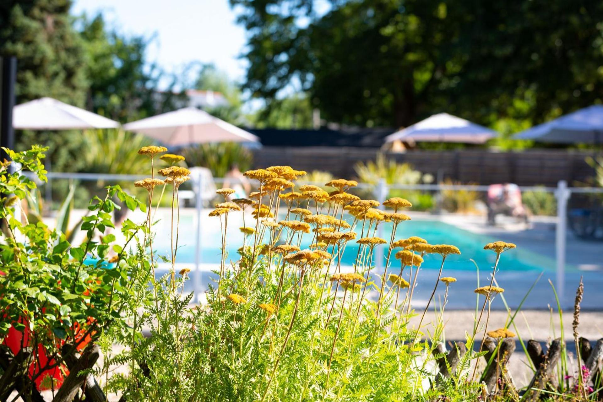 Hotel Mileade Le Domaine De La Blairie - Saumur Saint-Martin-de-la-Place Kültér fotó